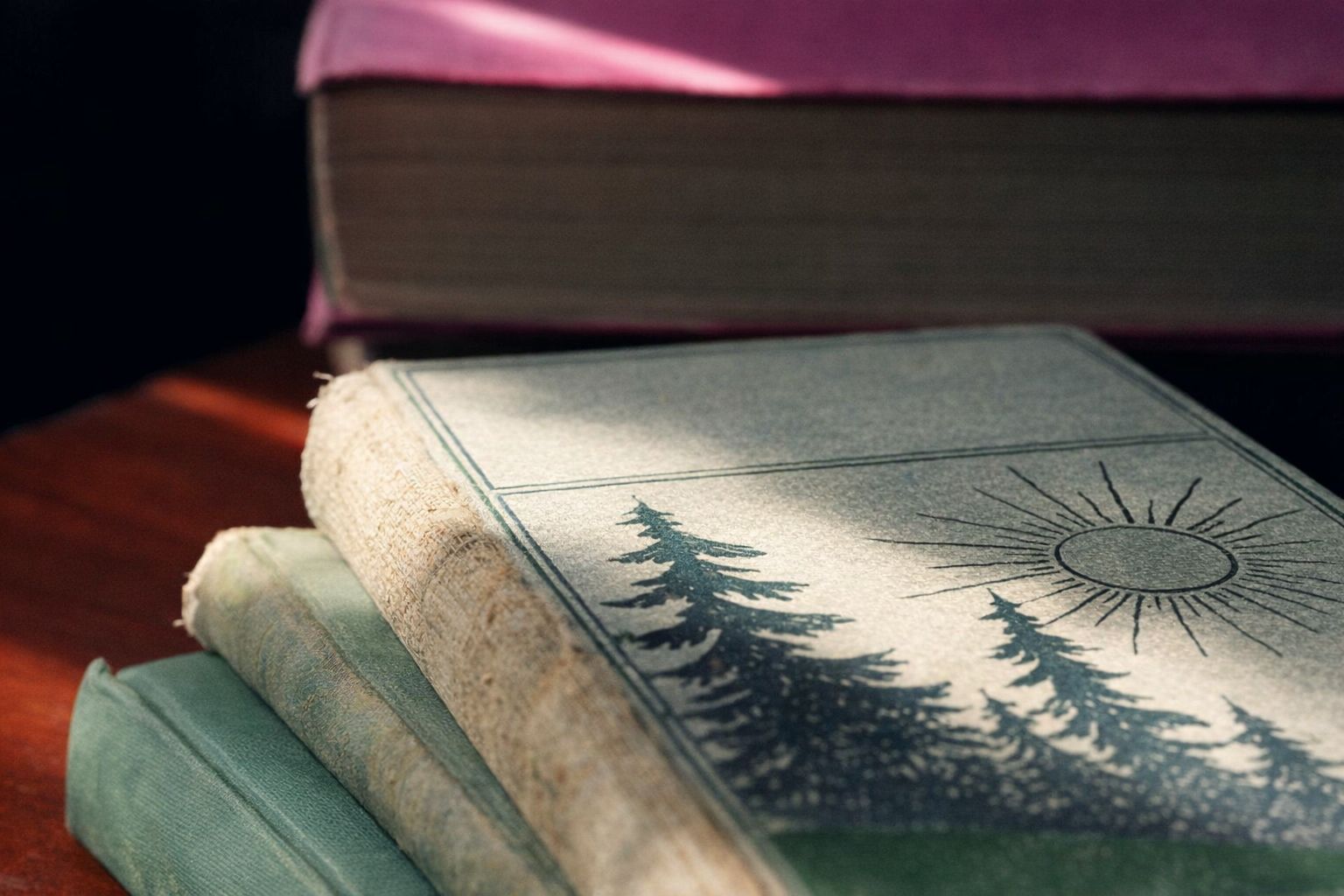 Närbild på gamla inbundna böcker i en trave med motiv av skog och sol.